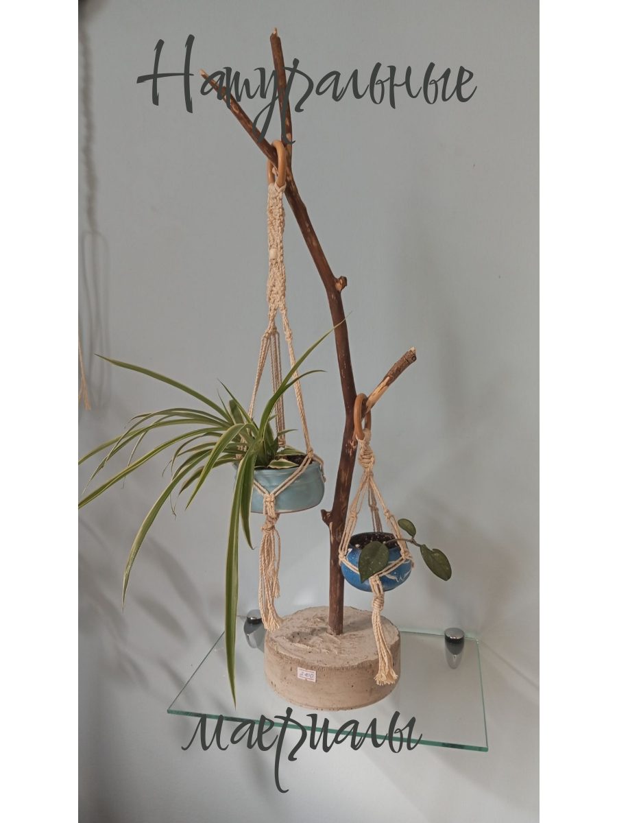 Макраме подвес на сосне и бетоне с цветами | Кашпо ручной работы | Эко-декор для квартиры | Живые растения в воздухе