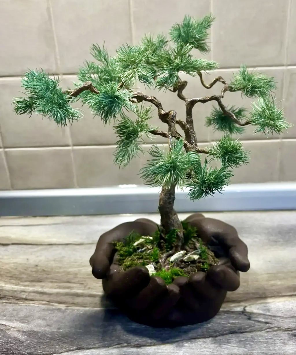 Бонсаи дерево подарок