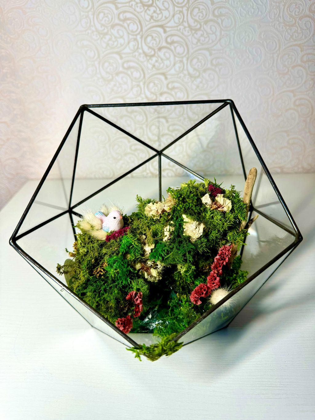 Моссариум «Райская птичка»