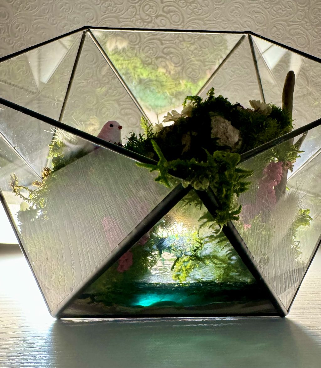 Моссариум «Райская птичка»