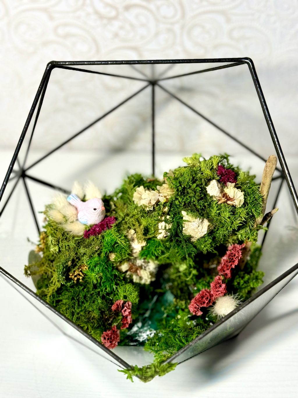 Моссариум «Райская птичка»