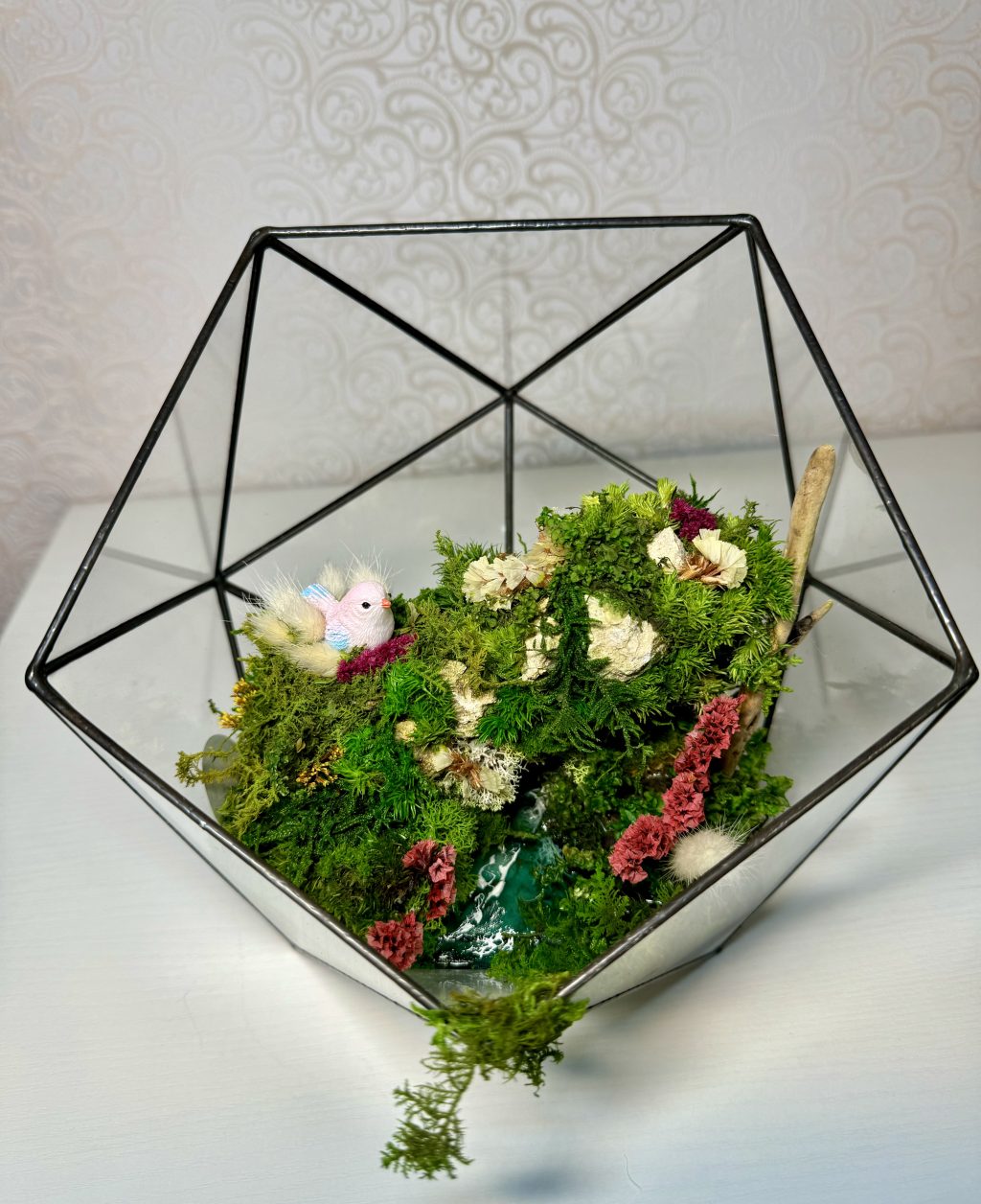 Моссариум «Райская птичка»