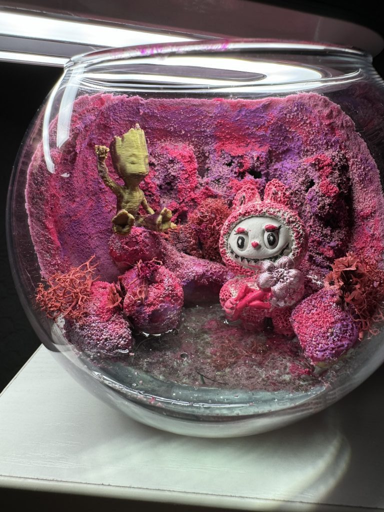 Подарок цветы моссариум