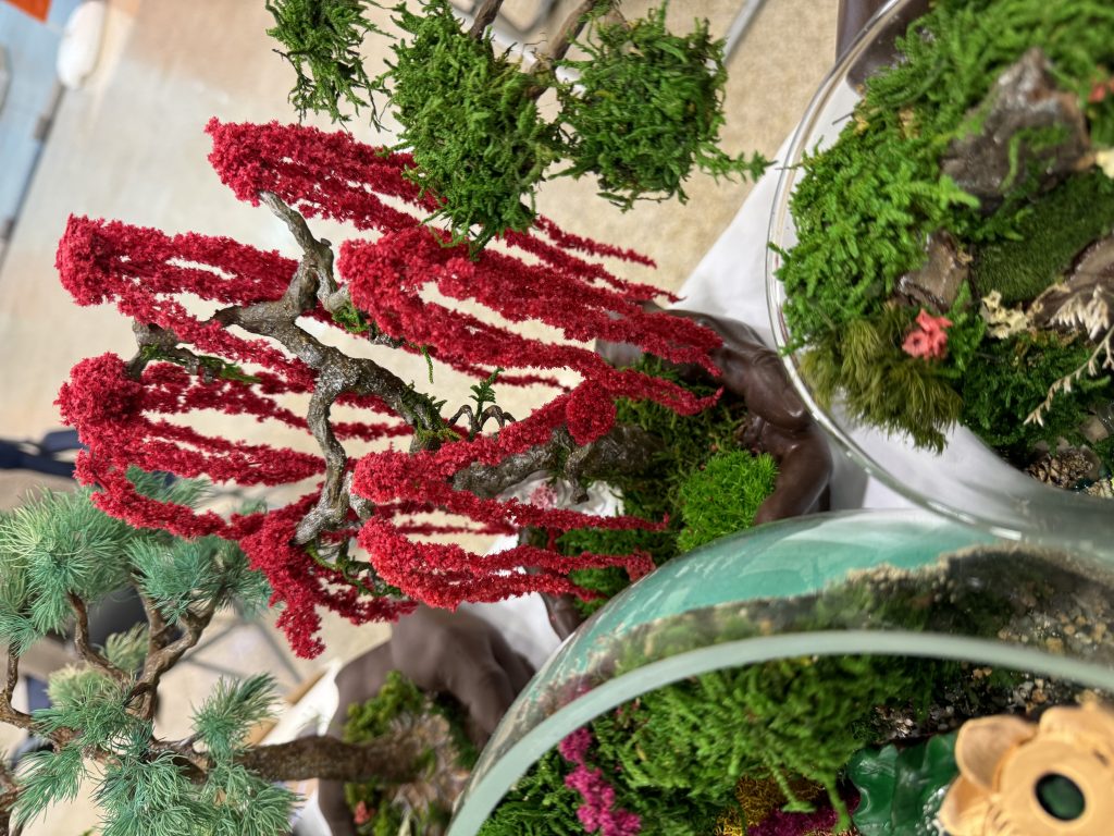 Бонсаи «Ангел»