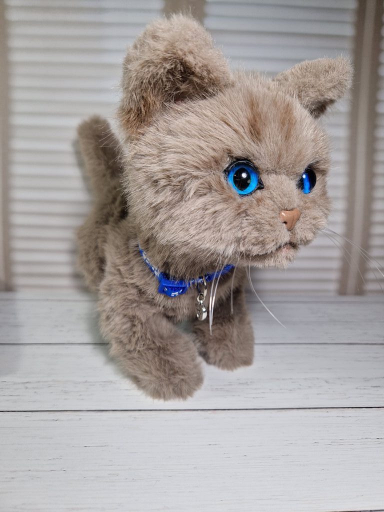 Котенок