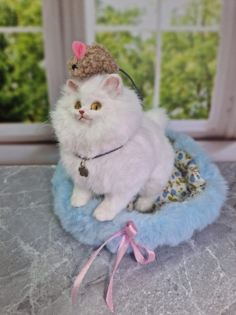 Котенок