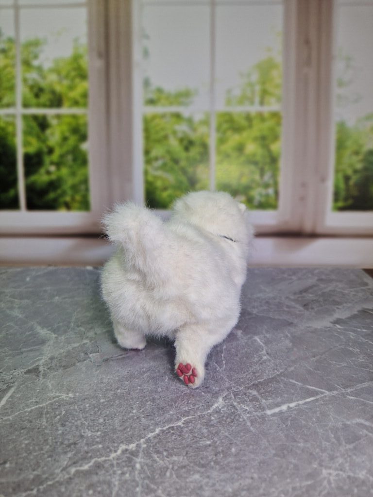 Котенок