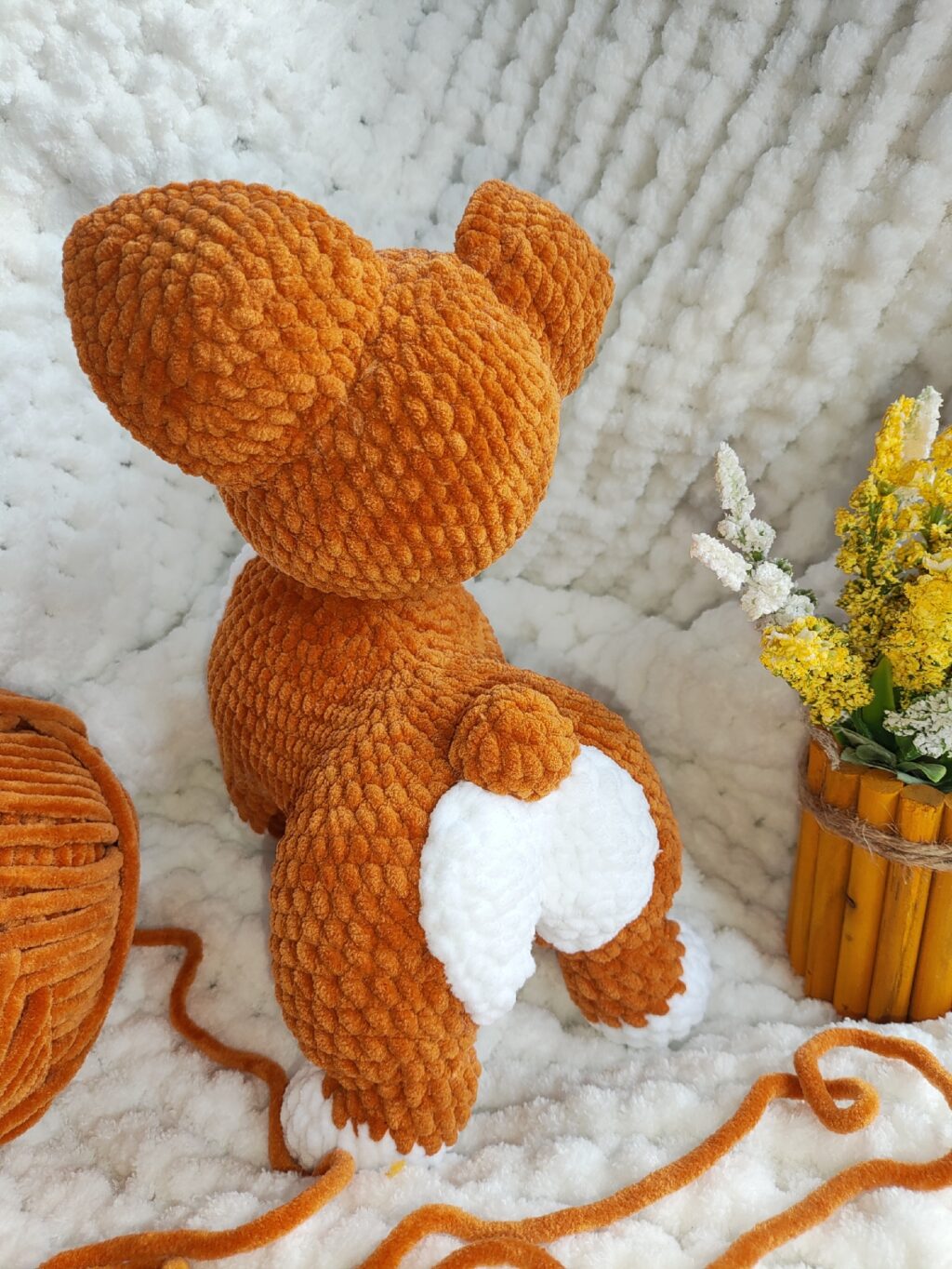 Корги♥️