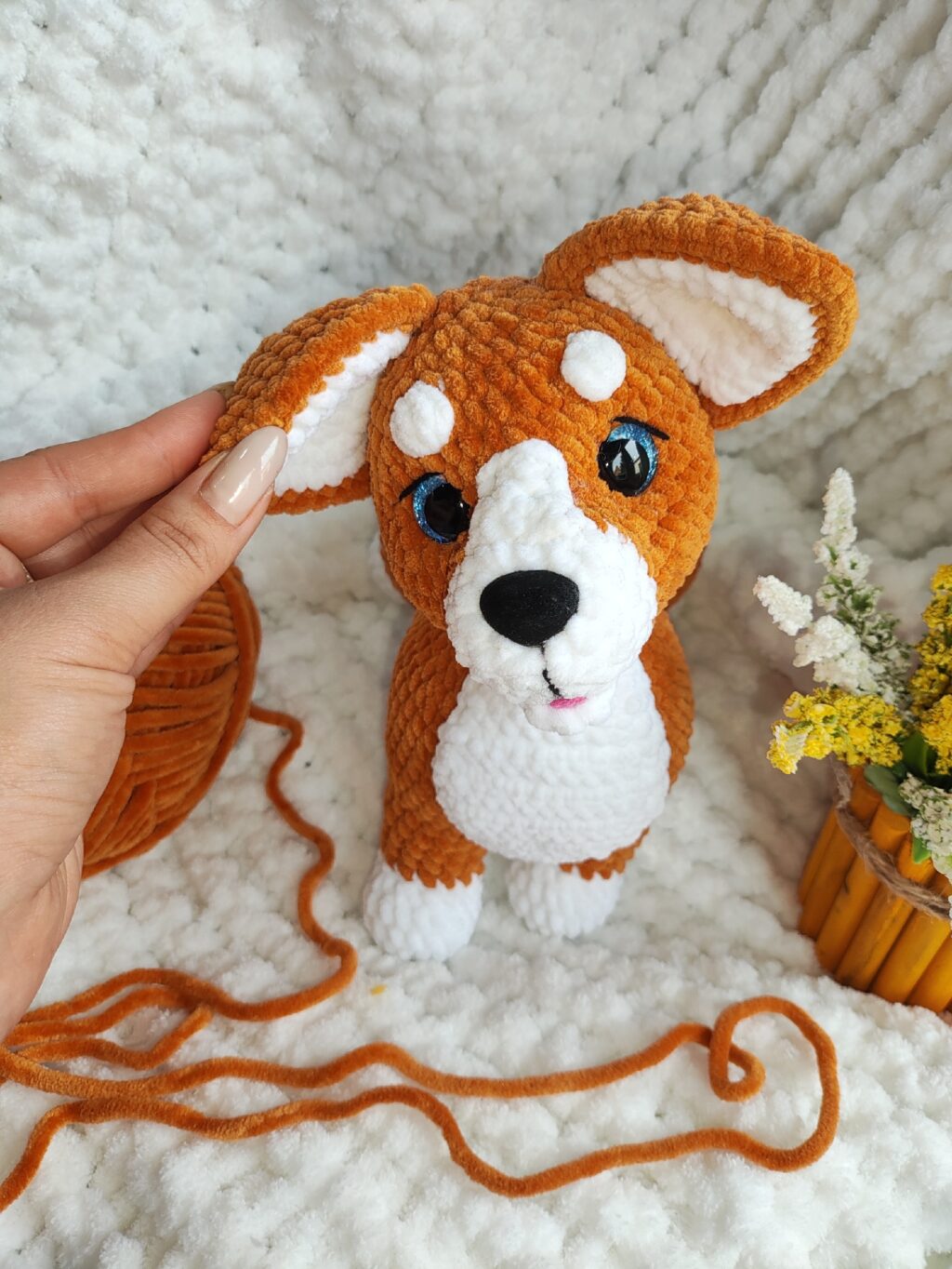 Корги♥️