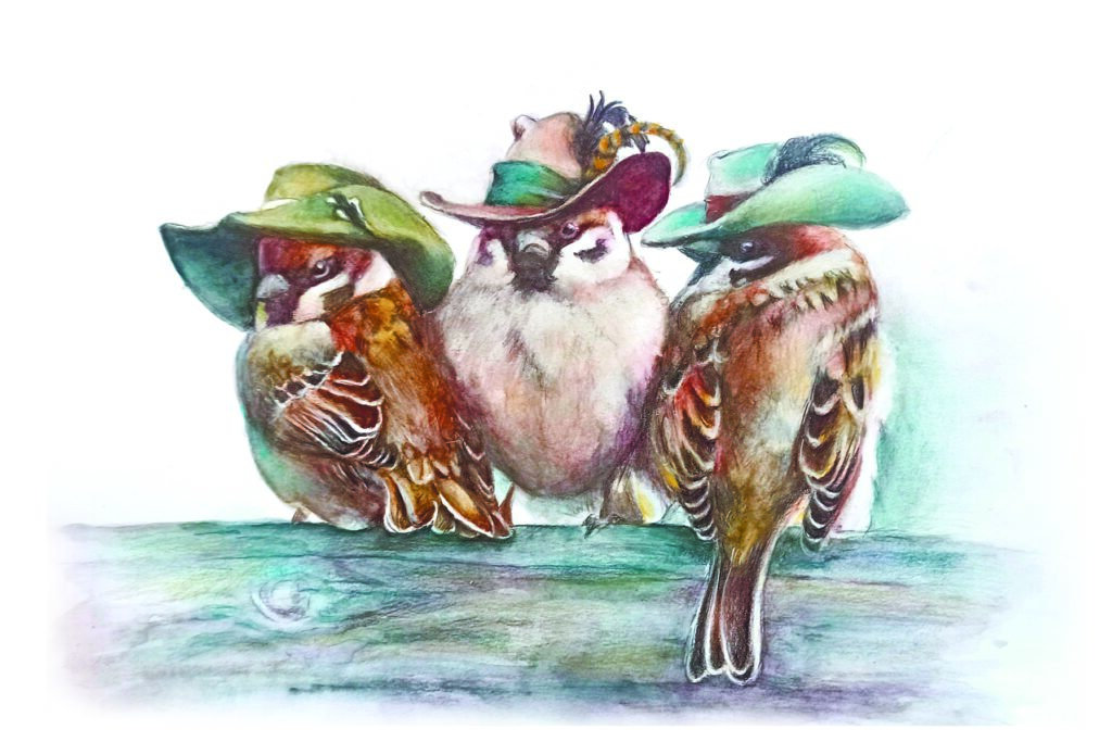 Мушкетёры