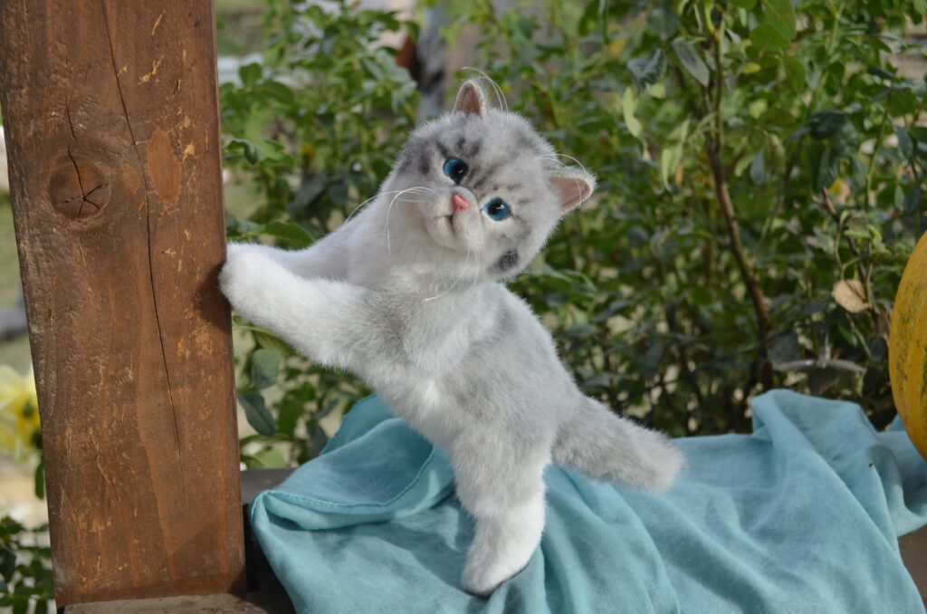 Котёнок ручной работы. Экзот