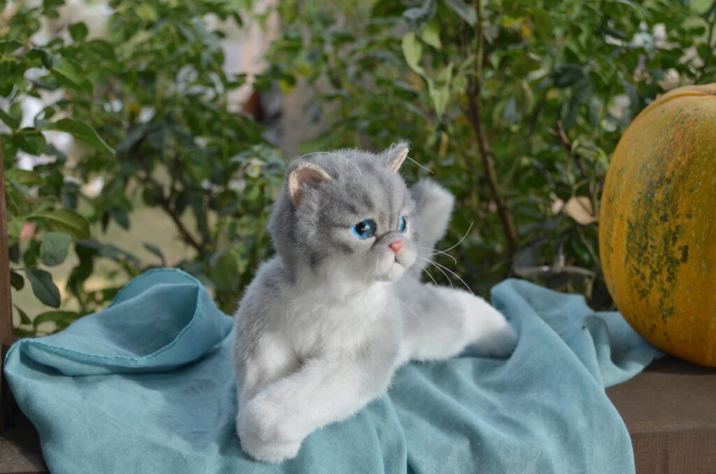 Котёнок ручной работы. Экзот