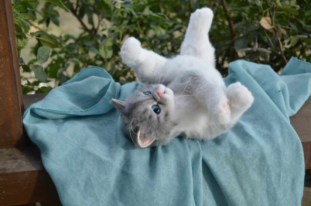 Котёнок ручной работы. Экзот