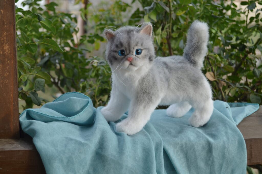 Котёнок ручной работы. Экзот