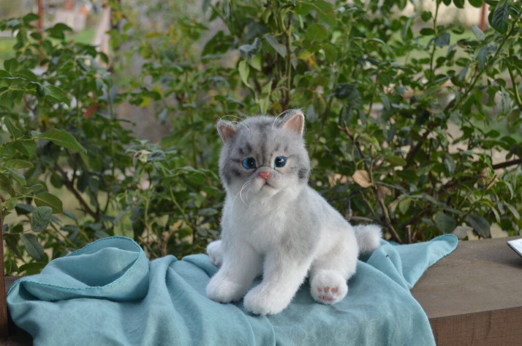 Котёнок ручной работы. Экзот