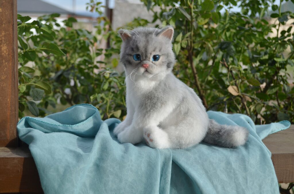 Котёнок ручной работы. Экзот