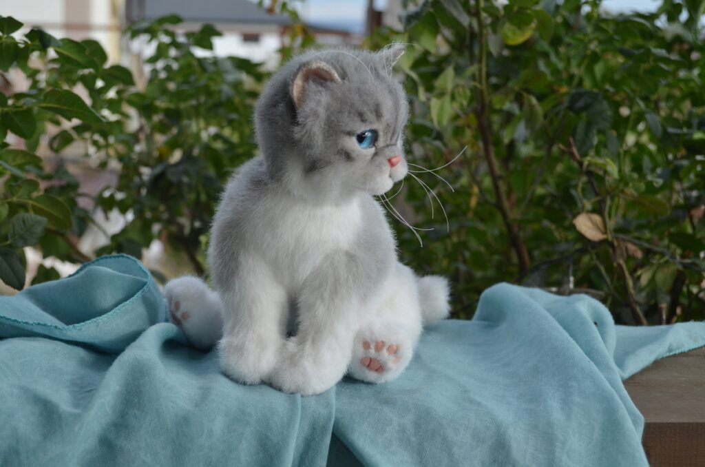 Котёнок ручной работы. Экзот