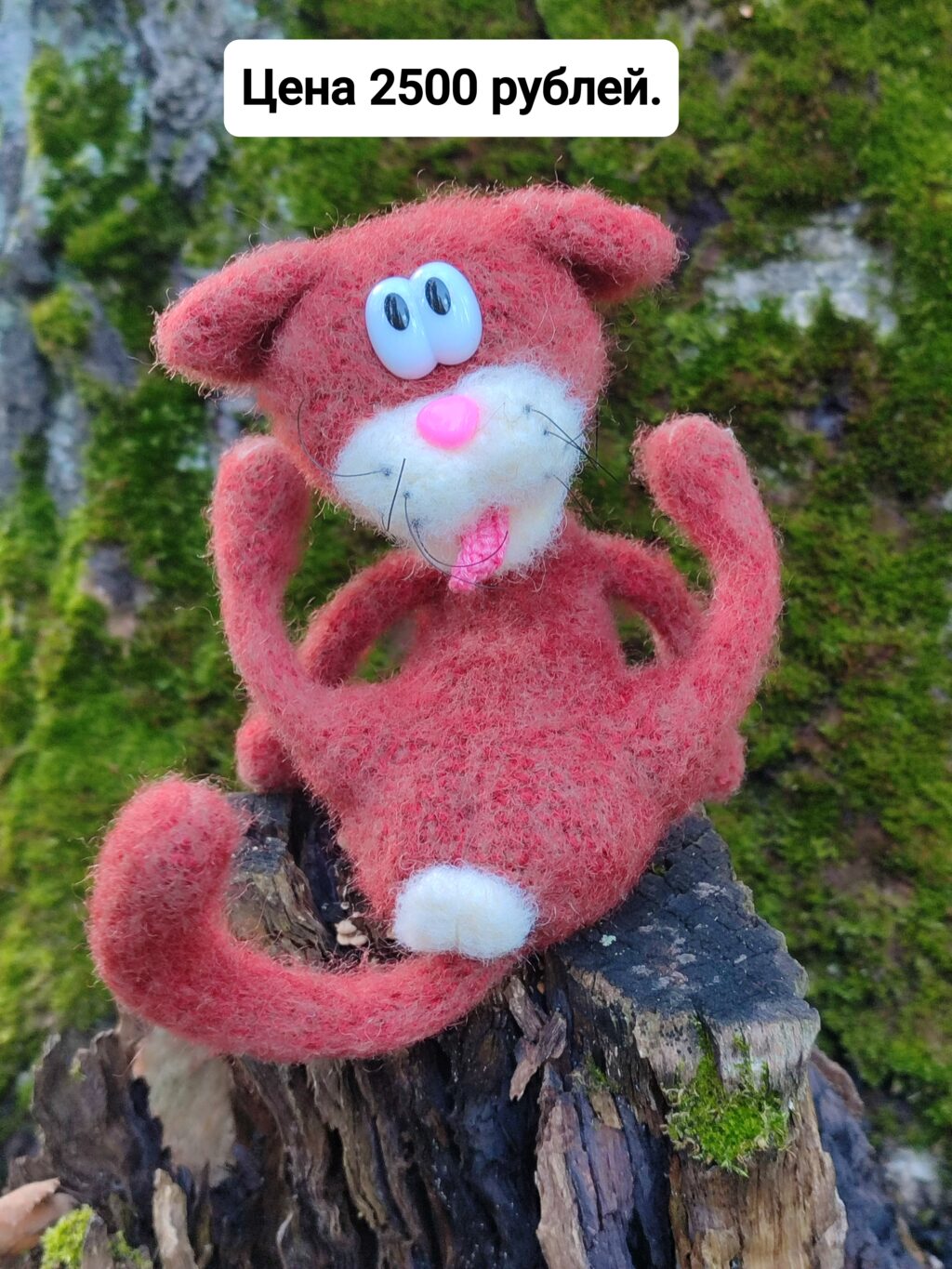 Котики