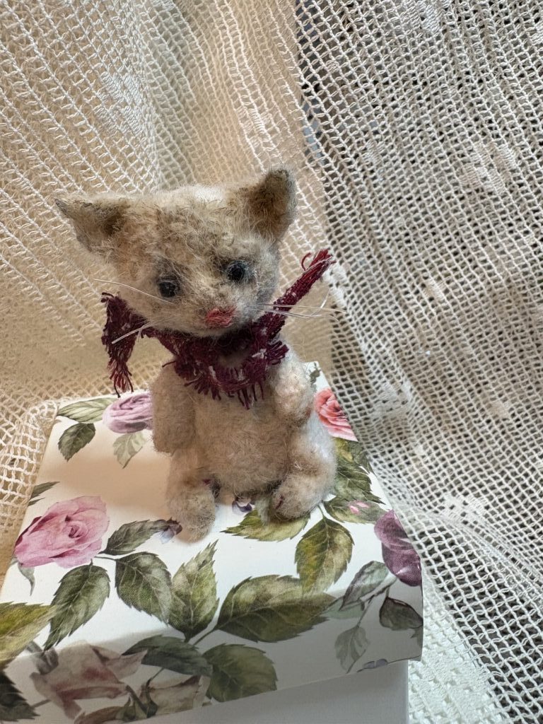 Котик