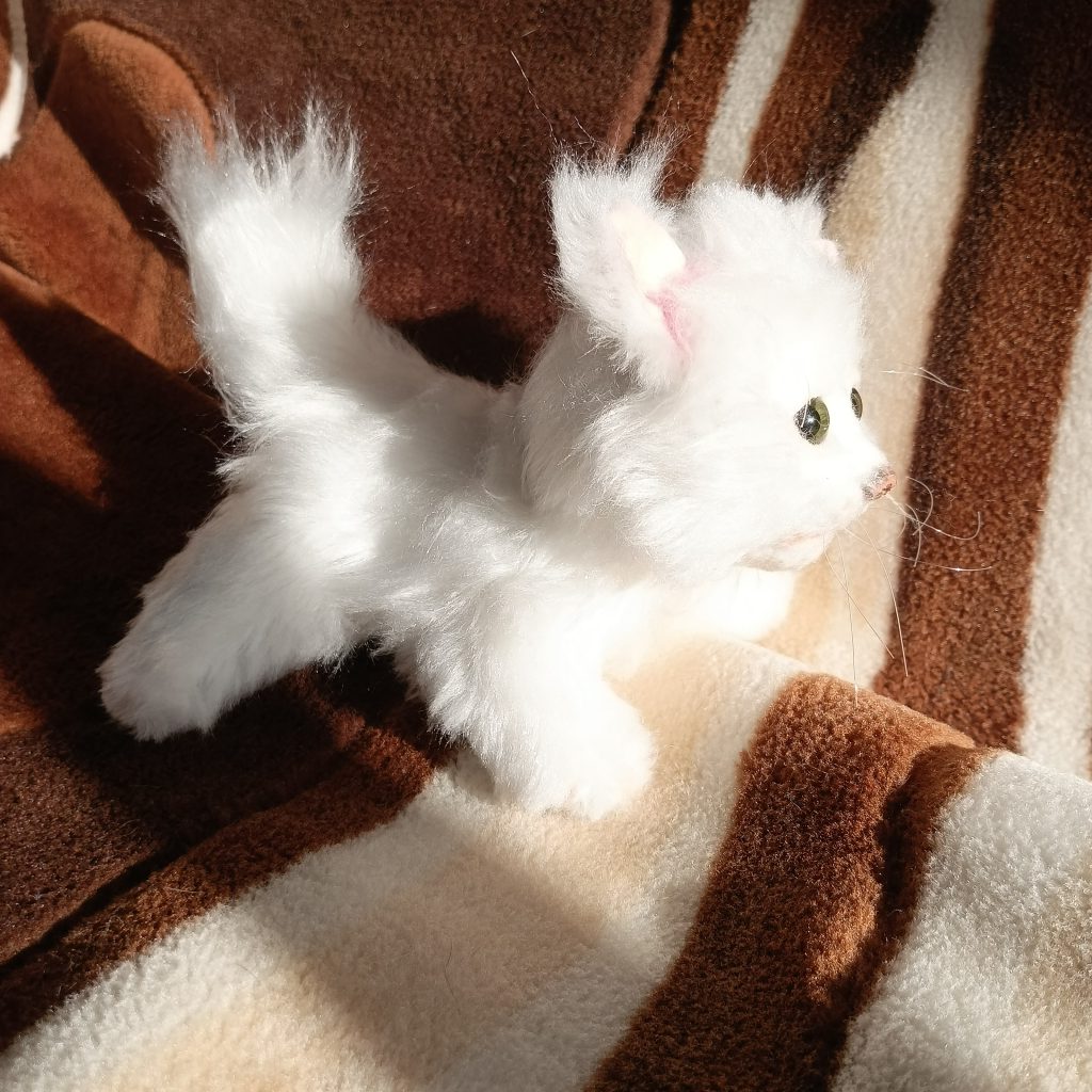 Котенок
