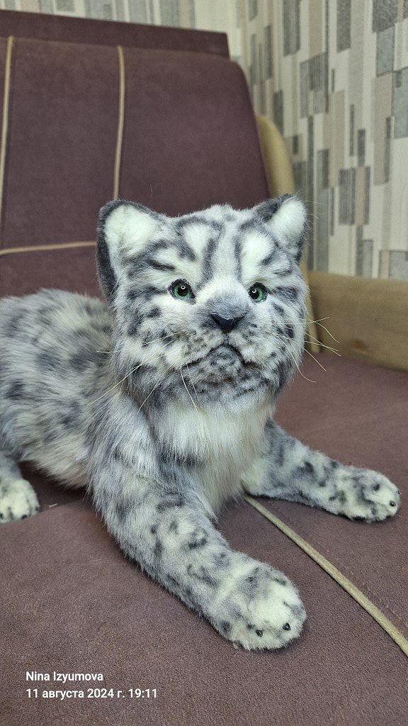 Барсенок