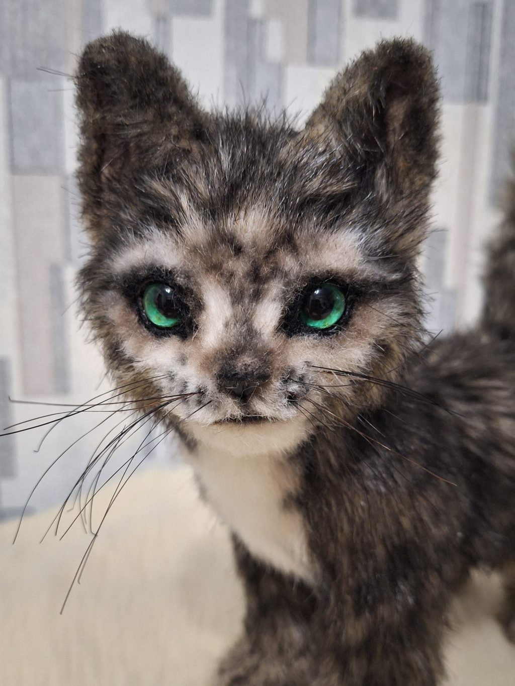 Кот Компот