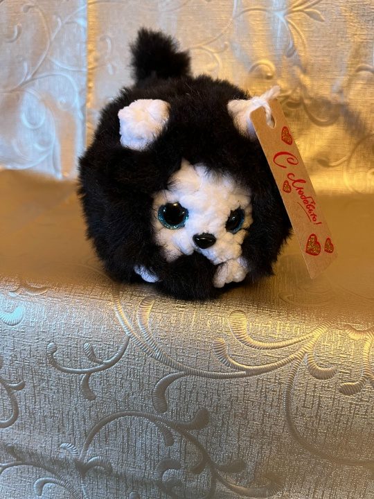 Котенок маленький