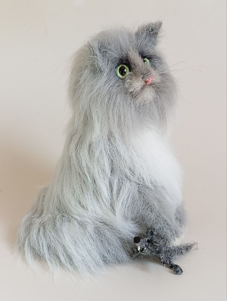 Питерские котики