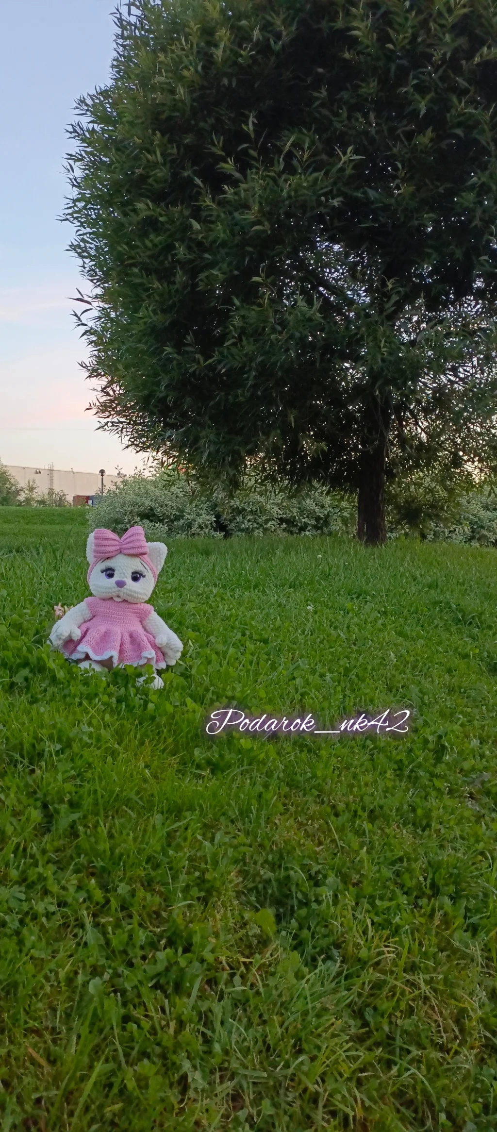 Кошечка Буся