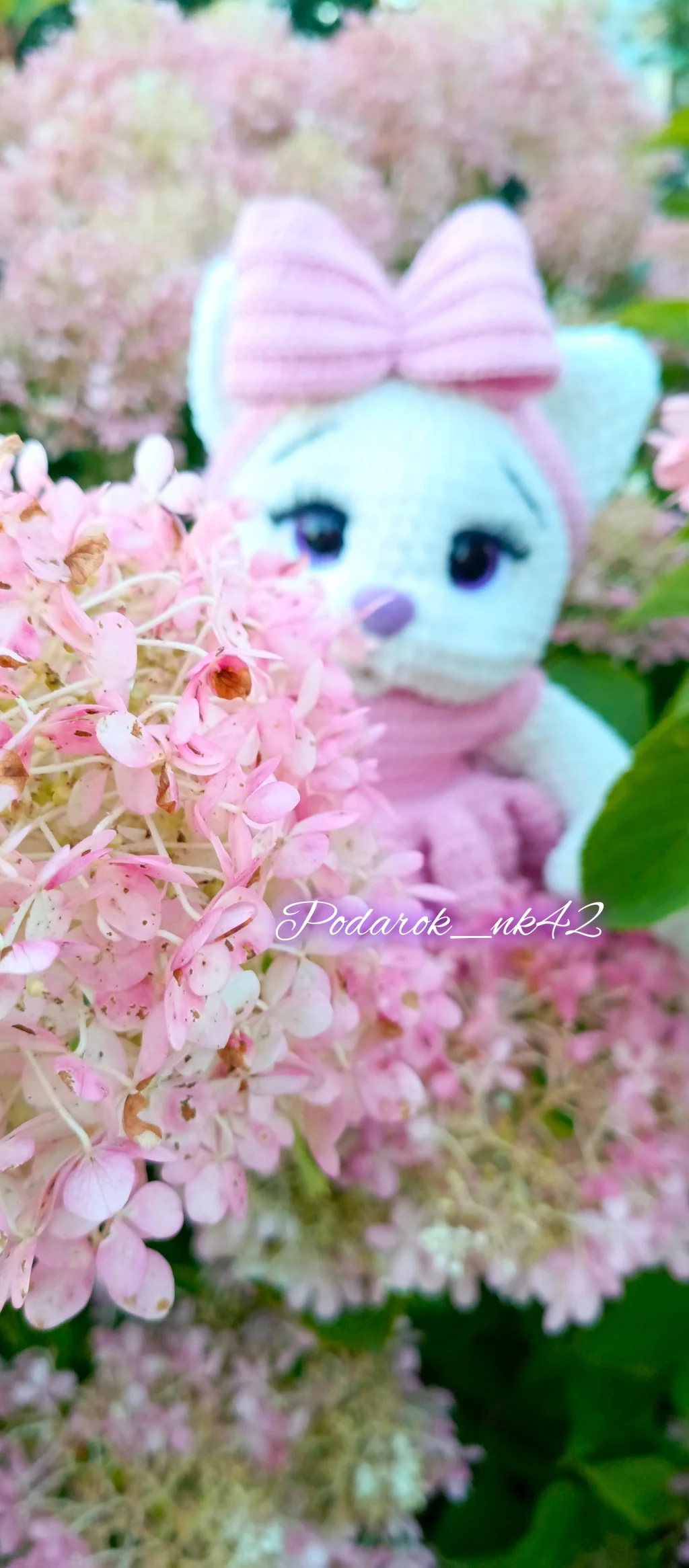 Кошечка Буся