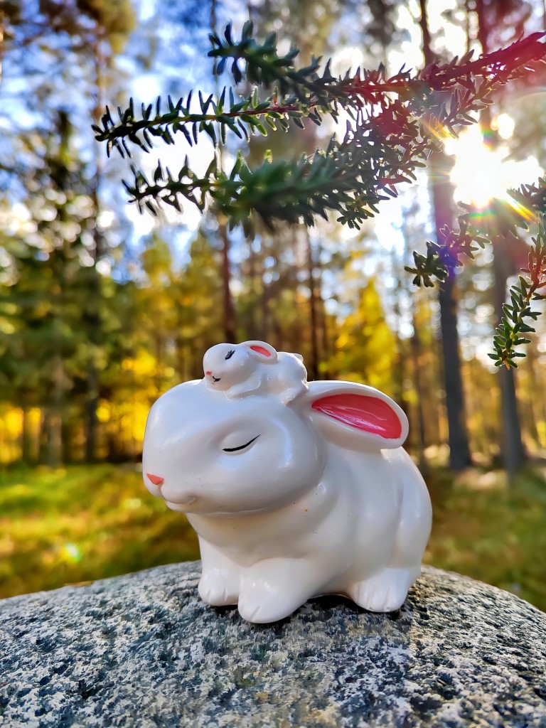 Свеча Заяц