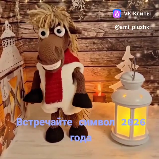 vkclips_20251128093944.mp4