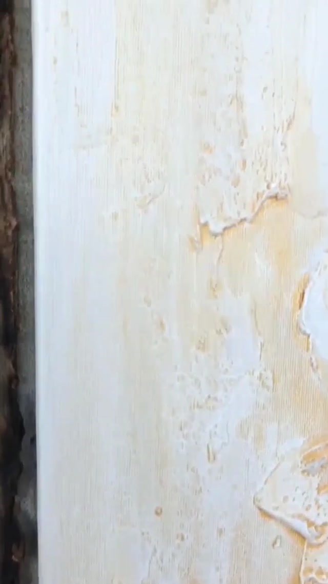 1000004823.mp4