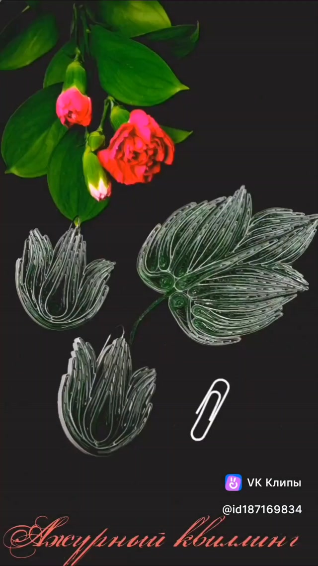 inshot_20260415_233020145.mp4