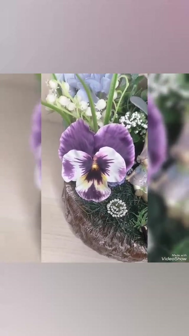 1743187760719.mp4