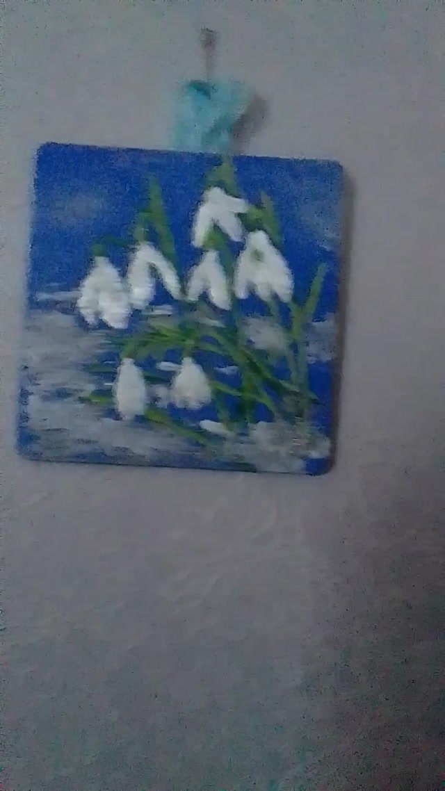 vid_20260304_092630.mp4