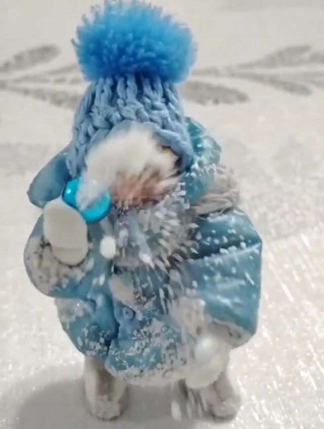 1000017261.mp4